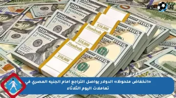 «انخفاض ملحوظ» الدولار يواصل التراجع أمام الجنيه المصري في تعاملات اليوم الثلاثاء